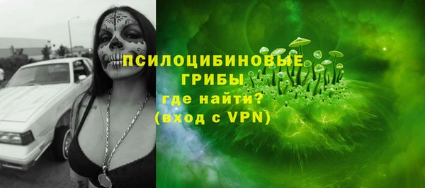 гидра Волоколамск