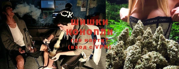 гидра Волоколамск