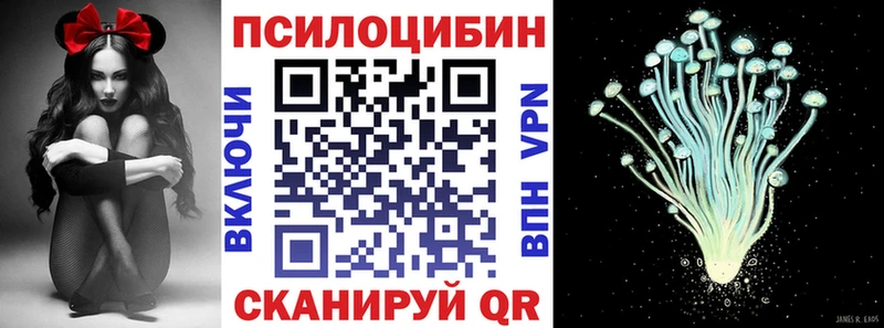 Псилоцибиновые грибы Psilocybine cubensis darknet официальный сайт Ленинградская